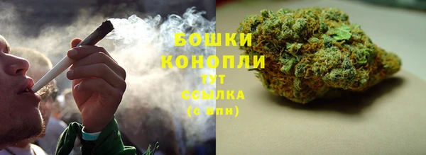 прущие крисы Михайловка