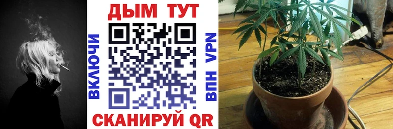 Бошки Шишки OG Kush  Купить  Таштагол 